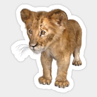 Simba Baby Lion Cub Sticker